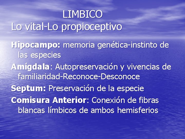 LIMBICO Lo vital-Lo propioceptivo Hipocampo: memoria genética-instinto de las especies Amígdala: Autopreservación y vivencias LIMBICO Lo vital-Lo propioceptivo Hipocampo: memoria genética-instinto de las especies Amígdala: Autopreservación y vivencias