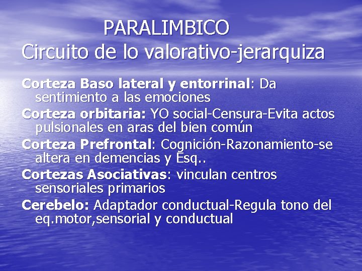 PARALIMBICO Circuito de lo valorativo-jerarquiza Corteza Baso lateral y entorrinal: Da sentimiento a las PARALIMBICO Circuito de lo valorativo-jerarquiza Corteza Baso lateral y entorrinal: Da sentimiento a las