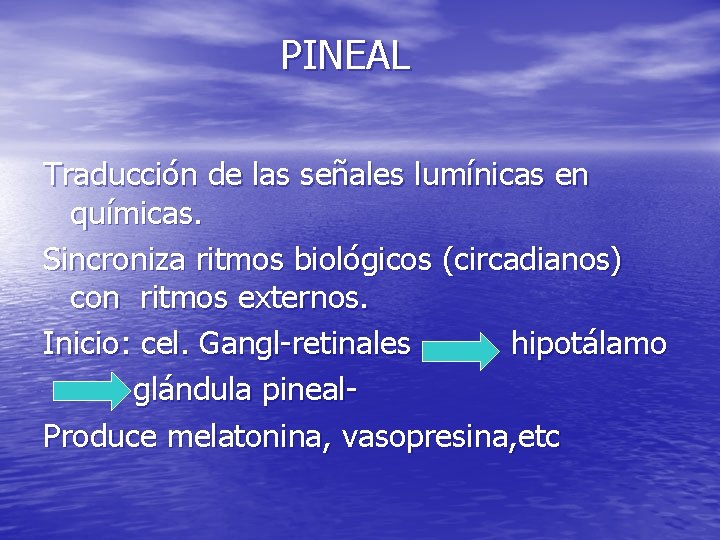 PINEAL Traducción de las señales lumínicas en químicas. Sincroniza ritmos biológicos (circadianos) con ritmos PINEAL Traducción de las señales lumínicas en químicas. Sincroniza ritmos biológicos (circadianos) con ritmos