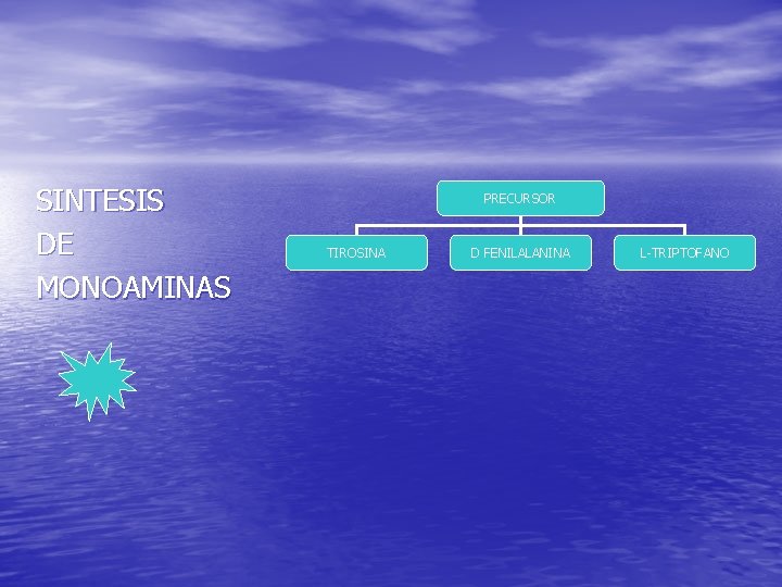 SINTESIS DE MONOAMINAS PRECURSOR TIROSINA D FENILALANINA L-TRIPTOFANO SINTESIS DE MONOAMINAS PRECURSOR TIROSINA D FENILALANINA L-TRIPTOFANO
