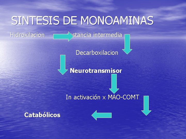 SINTESIS DE MONOAMINAS Hidroxilacion sustancia intermedia Decarboxilacion Neurotransmisor In activación x MAO-COMT Catabólicos SINTESIS DE MONOAMINAS Hidroxilacion sustancia intermedia Decarboxilacion Neurotransmisor In activación x MAO-COMT Catabólicos