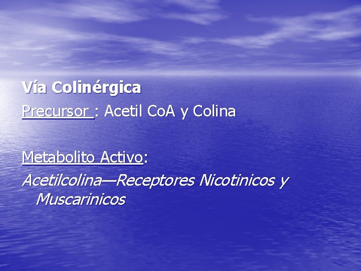 Vía Colinérgica Precursor : Acetil Co. A y Colina Metabolito Activo: Acetilcolina—Receptores Nicotinicos y Vía Colinérgica Precursor : Acetil Co. A y Colina Metabolito Activo: Acetilcolina—Receptores Nicotinicos y