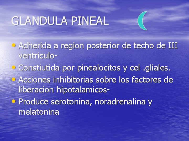 GLANDULA PINEAL • Adherida a region posterior de techo de III ventriculo • Constiutida GLANDULA PINEAL • Adherida a region posterior de techo de III ventriculo • Constiutida