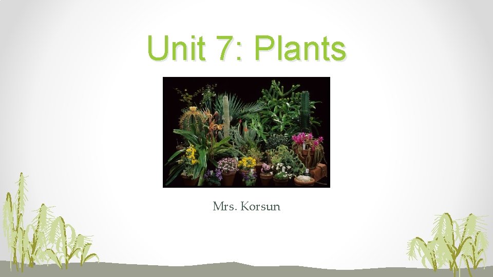 Unit 7: Plants Mrs. Korsun 