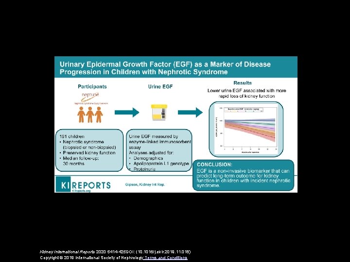 Kidney International Reports 2020 5414 -425 DOI: (10. 1016/j. ekir. 2019. 11. 018) Copyright