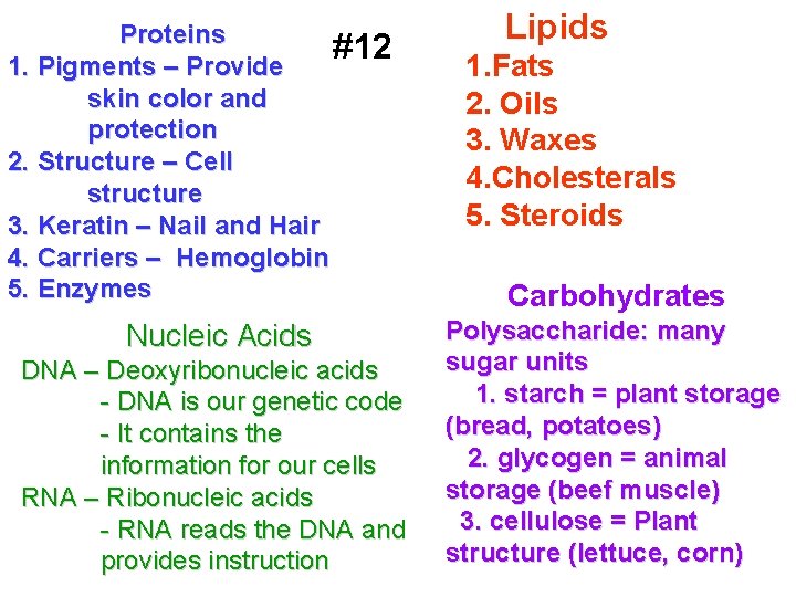 Proteins #12 1. Pigments – Provide skin color and protection 2. Structure – Cell