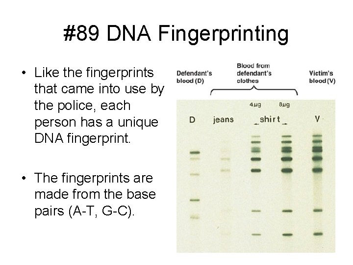 #89 DNA Fingerprinting • Like the fingerprints that came into use by the police,