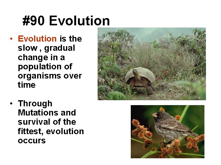 #90 Evolution • Evolution is the slow , gradual change in a population of
