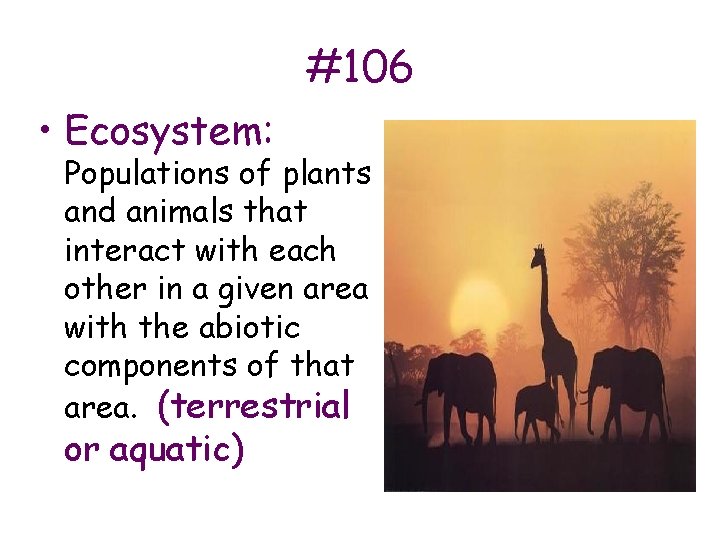 #106 • Ecosystem: Populations of plants and animals that interact with each other in