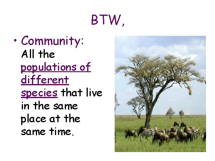 BTW, • Community: All the populations of different species that live in the same
