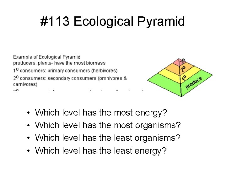 #113 Ecological Pyramid • • Which level has the most energy? Which level has