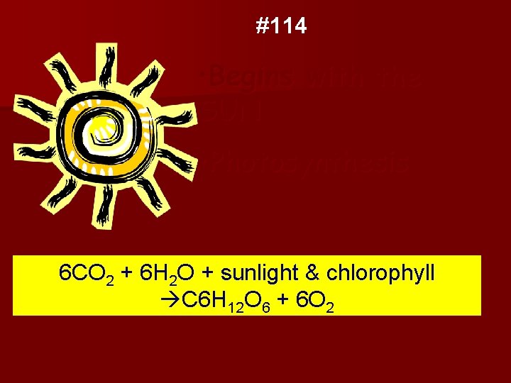 #114 • Begins with the SUN • Photosynthesis 6 CO 2 + 6 H