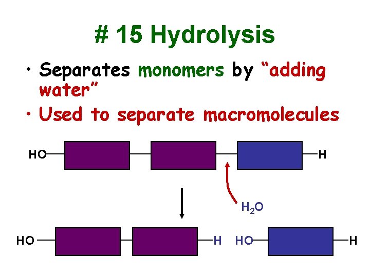 # 15 Hydrolysis • Separates monomers by “adding water” • Used to separate macromolecules