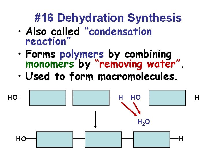 #16 Dehydration Synthesis • Also called “condensation reaction” • Forms polymers by combining monomers