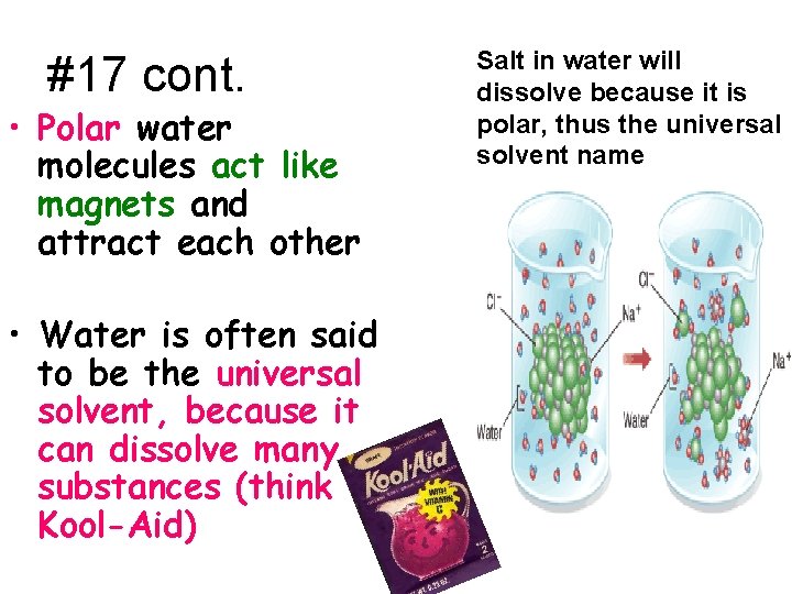 #17 cont. • Polar water molecules act like magnets and attract each other •