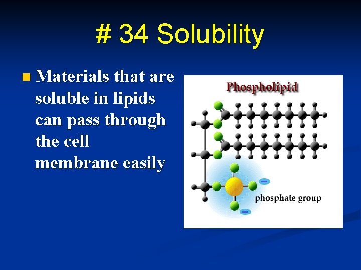 # 34 Solubility n Materials that are soluble in lipids can pass through the