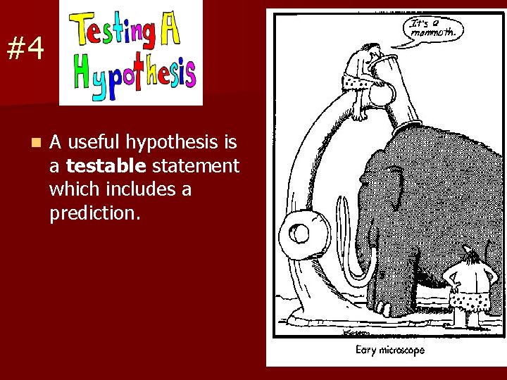 #4 n A useful hypothesis is a testable statement which includes a prediction. 