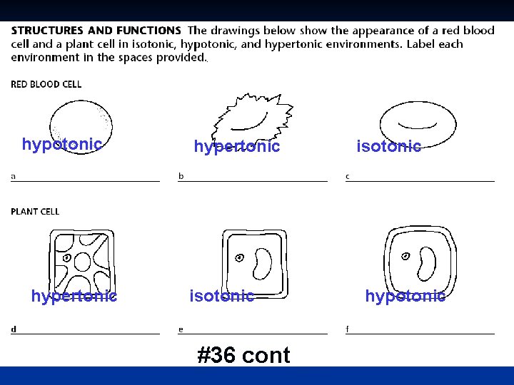 hypotonic hypertonic isotonic #36 cont isotonic hypotonic 