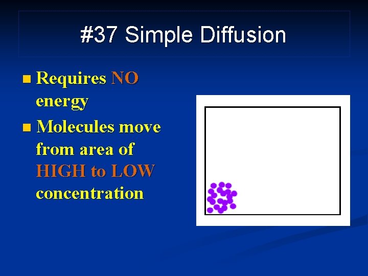 #37 Simple Diffusion n Requires NO energy n Molecules move from area of HIGH