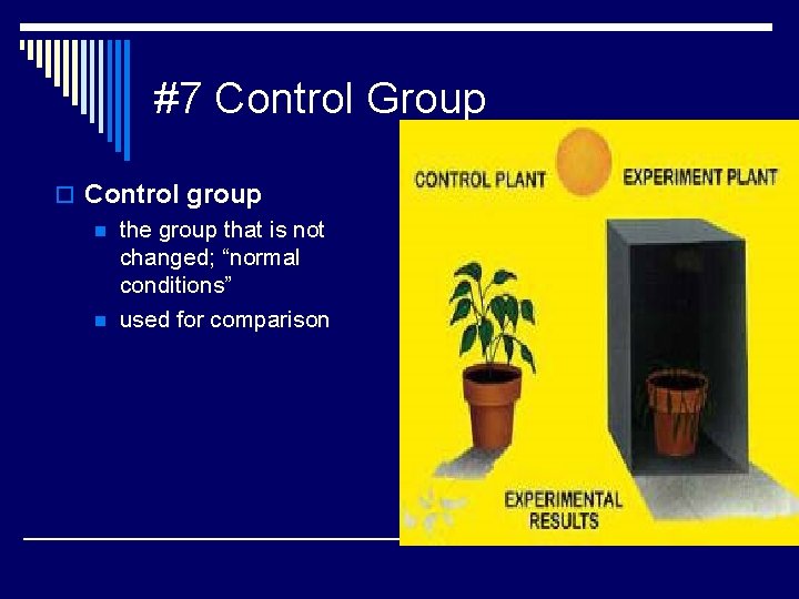 #7 Control Group o Control group n the group that is not changed; “normal