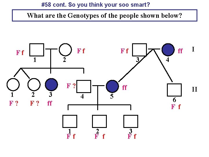 #58 cont. So you think your soo smart? What are the Genotypes of the