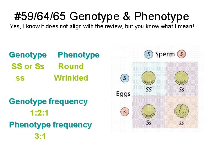 #59/64/65 Genotype & Phenotype Yes, I know it does not align with the review,