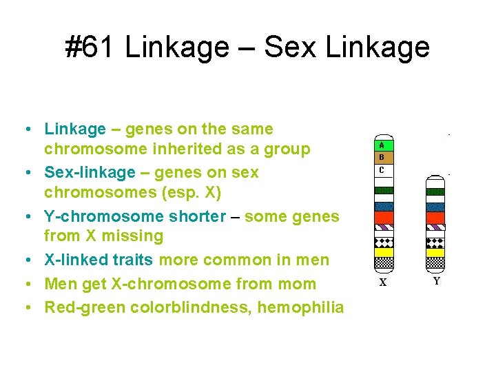 #61 Linkage – Sex Linkage • Linkage – genes on the same chromosome inherited