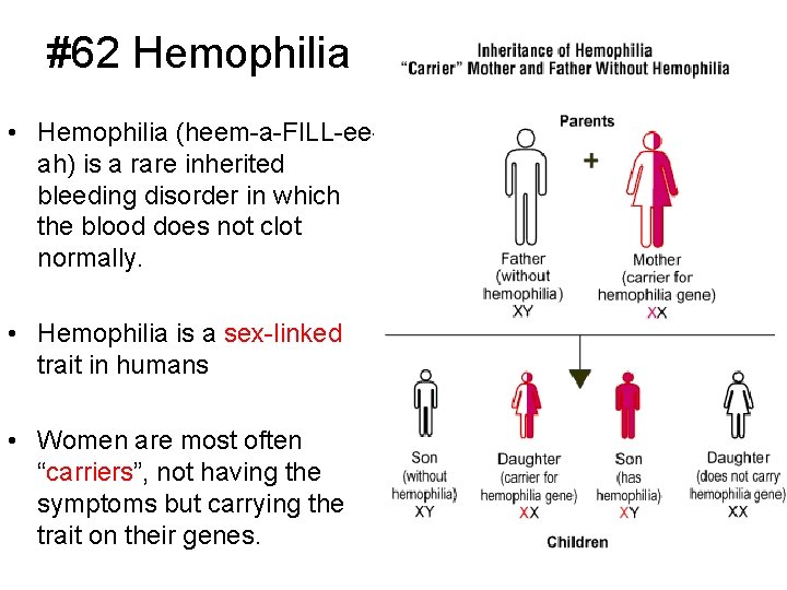 #62 Hemophilia • Hemophilia (heem-a-FILL-eeah) is a rare inherited bleeding disorder in which the