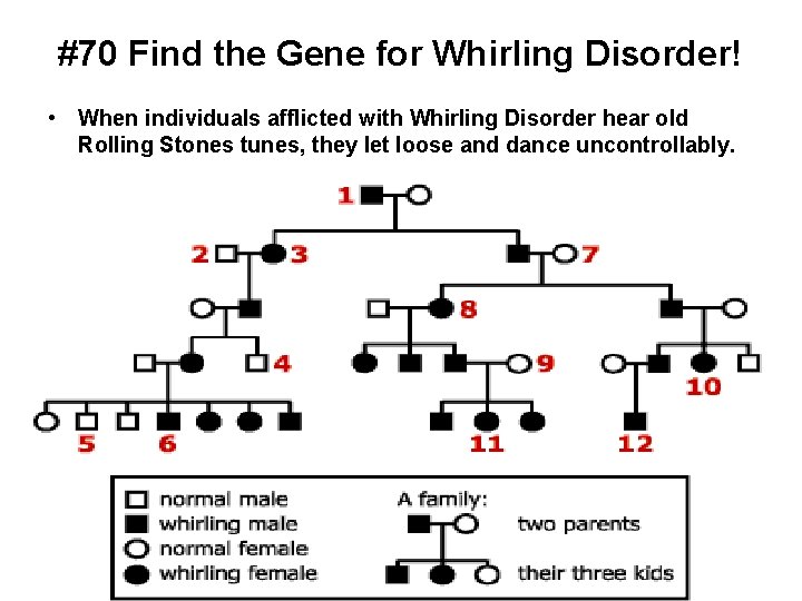 #70 Find the Gene for Whirling Disorder! • When individuals afflicted with Whirling Disorder