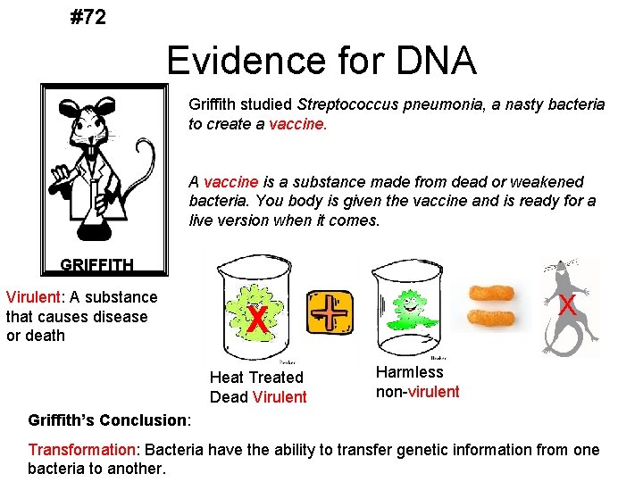 #72 Evidence for DNA Griffith studied Streptococcus pneumonia, a nasty bacteria to create a