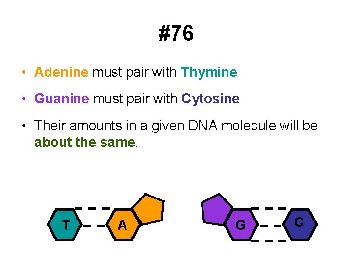 #76 • Adenine must pair with Thymine • Guanine must pair with Cytosine •