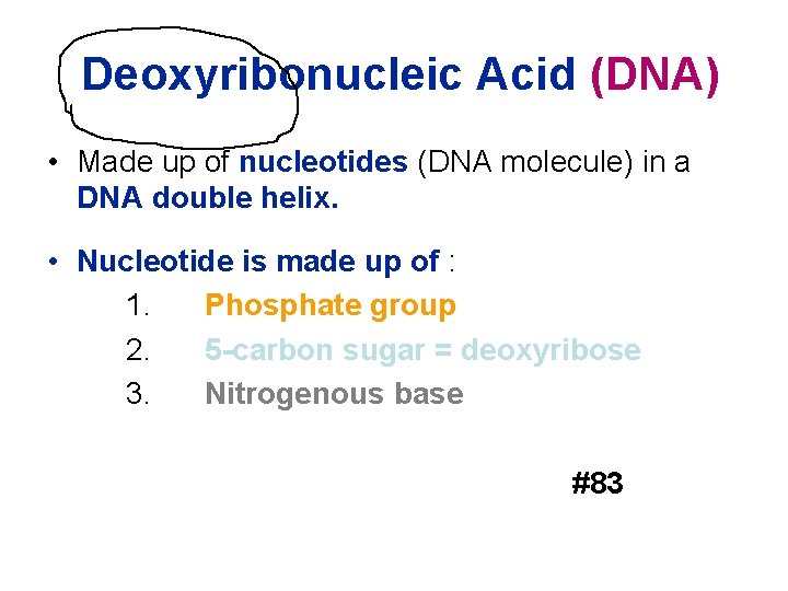  Deoxyribonucleic Acid (DNA) • Made up of nucleotides (DNA molecule) in a DNA