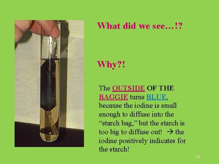 What did we see…!? Why? ! The OUTSIDE OF THE BAGGIE turns BLUE, because