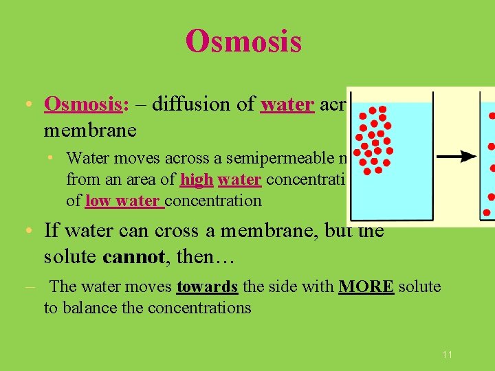 Osmosis • Osmosis: – diffusion of water across a membrane • Water moves across