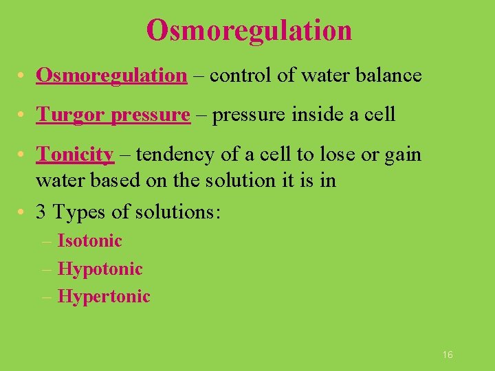 Osmoregulation • Osmoregulation – control of water balance • Turgor pressure – pressure inside