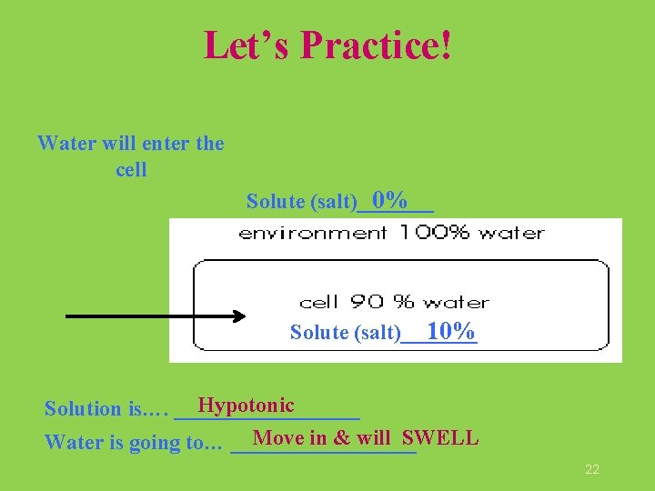 Let’s Practice! Water will enter the cell 0% Solute (salt)_______ 10% Solute (salt)_______ Hypotonic