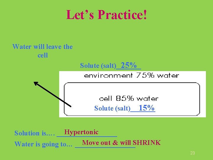 Let’s Practice! Water will leave the cell 25% Solute (salt)_______ 15% Solute (salt)_______ Hypertonic Let’s Practice! Water will leave the cell 25% Solute (salt)_______ 15% Solute (salt)_______ Hypertonic