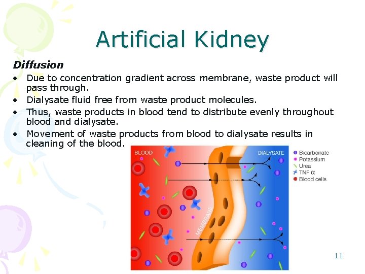 Artificial Kidney Diffusion • Due to concentration gradient across membrane, waste product will pass