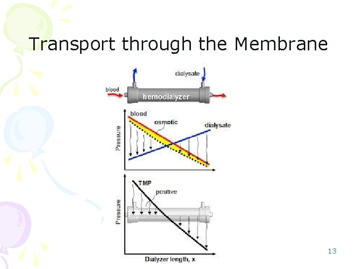 Transport through the Membrane 13 