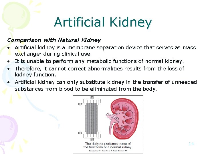 Artificial Kidney Comparison with Natural Kidney • Artificial kidney is a membrane separation device