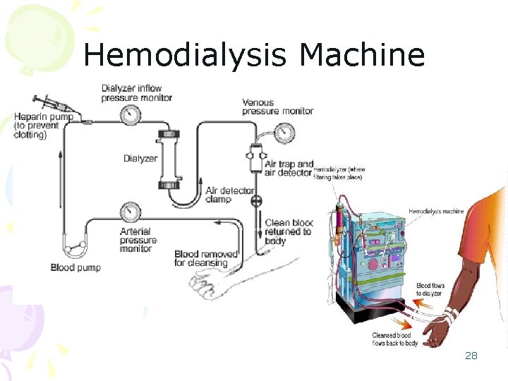 Hemodialysis Machine 28 