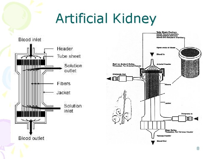 Artificial Kidney 8 