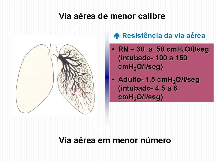 Via aérea de menor calibre Resistência da via aérea • RN – 30 a