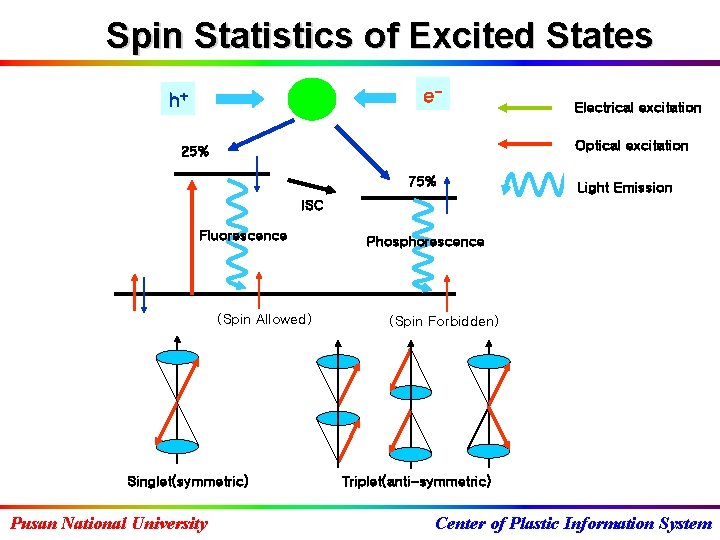 Spin Statistics of Excited States e- h+ Electrical excitation Optical excitation 25% 75% Light