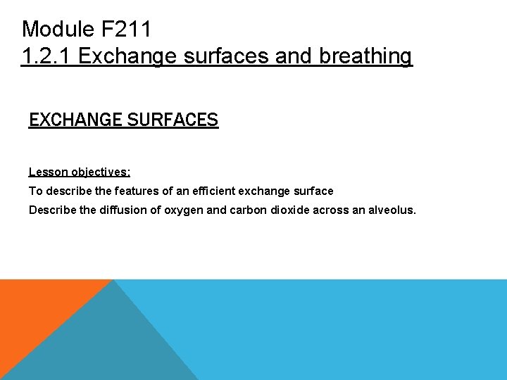Module F 211 1. 2. 1 Exchange surfaces and breathing EXCHANGE SURFACES Lesson objectives: Module F 211 1. 2. 1 Exchange surfaces and breathing EXCHANGE SURFACES Lesson objectives: