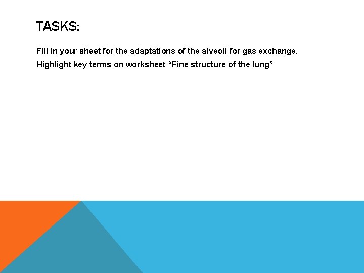 TASKS: Fill in your sheet for the adaptations of the alveoli for gas exchange. TASKS: Fill in your sheet for the adaptations of the alveoli for gas exchange.