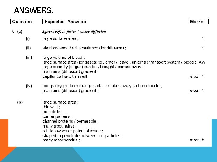 ANSWERS: ANSWERS: