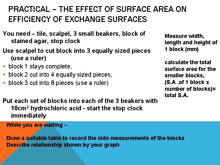 PRACTICAL – THE EFFECT OF SURFACE AREA ON EFFICIENCY OF EXCHANGE SURFACES You need PRACTICAL – THE EFFECT OF SURFACE AREA ON EFFICIENCY OF EXCHANGE SURFACES You need