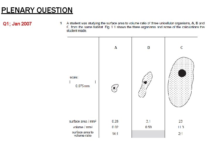 PLENARY QUESTION Q 1; Jan 2007 PLENARY QUESTION Q 1; Jan 2007