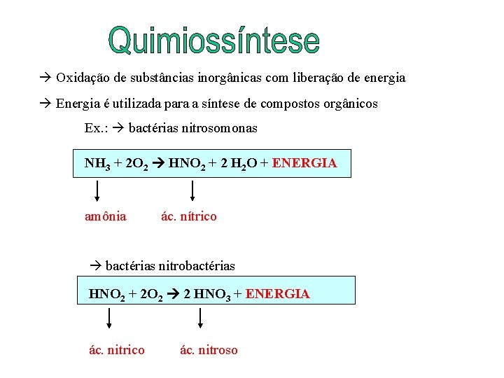  Oxidação de substâncias inorgânicas com liberação de energia Energia é utilizada para a